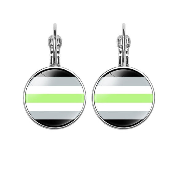 Gay Pride Drop Earring  Agender Pride Flag Photo 16MM Glass Cabochon Jewelry Trendy Lever Back Earrings